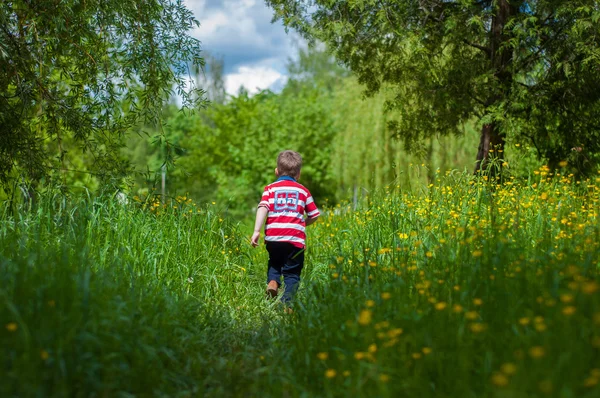 緑の草に小さな男の子 — ストック写真