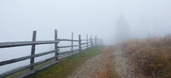 Sis sonbahar alanında