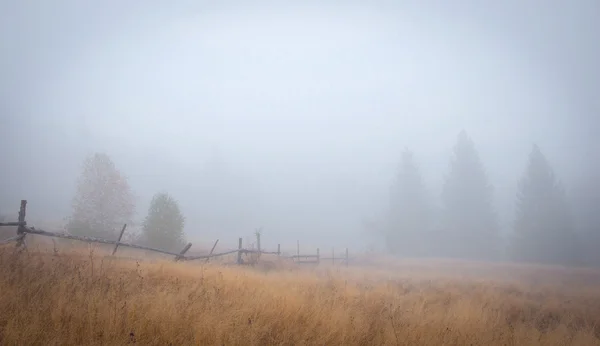 Ağaçlar ve çit siste