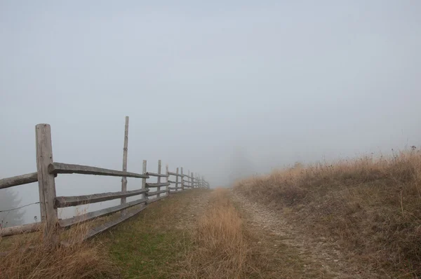 Sis sonbahar alanında