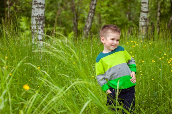 küçük yeşil çimen çocuk