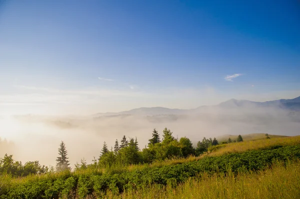 Mistic fog in the mountains — Stock Photo, Image