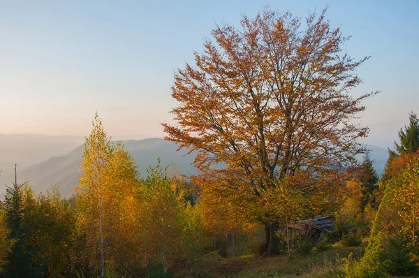 Φθινοπωρινό τοπίο των βουνών — Φωτογραφία Αρχείου