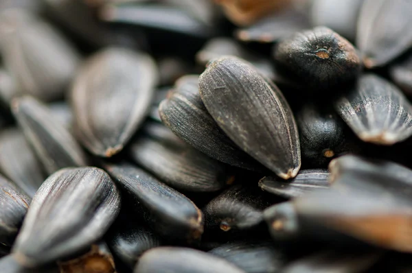 Ayçekirdeği arka planı