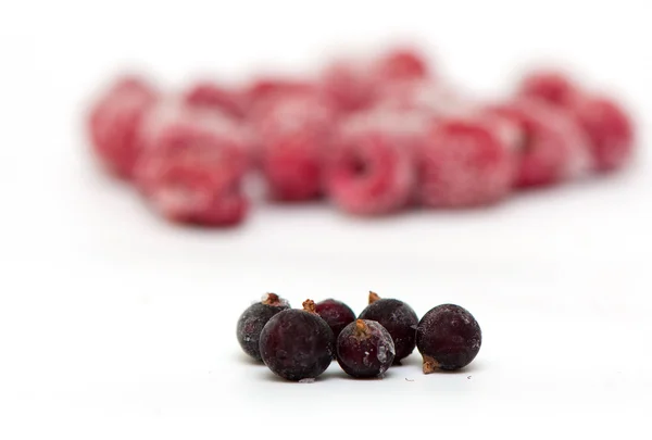 Frozen raspberries on white — Stock Photo, Image