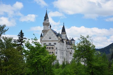 Castle neuschwanstein orman dağ