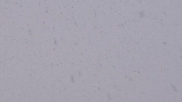 Όμορφη Φυσική Πτώση Χιόνι Πρώτη Πρόσωπο Άποψη Πιο Σκούρα Έκδοση — Αρχείο Βίντεο