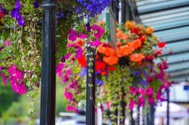Pitlochry, Speyside 'da Blumen am Pavillon