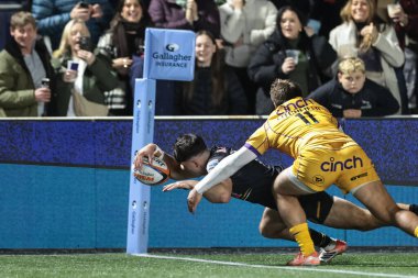 Newcastle Red Bull 'dan Oli Spencer 17 Ekim' de Kingston Park, Newcastle, İngiltere 'de oynanan Newcastle Red Bulls - Northampton Saints maçında şansını deniyor.  