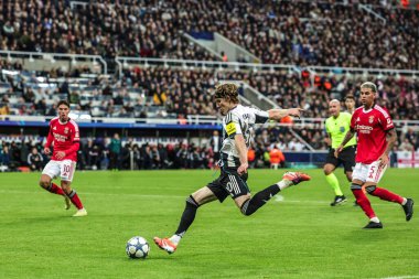 Newcastle United takımından Anthony Gordon topu UEFA Şampiyonlar Ligi Maçı 'nda 8 Newcastle United ile Benfica maçında 11 Ekim 2025' te St. James 's Park, Newcastle, İngiltere' de karşı karşıya getirdi. 