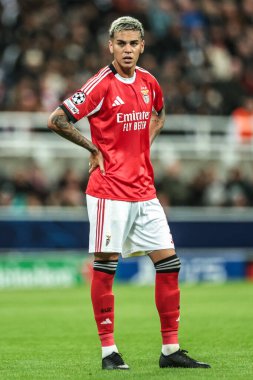 UEFA Şampiyonlar Ligi Maçı sırasında Benfica 'dan Enzo Barrenechea, 8 Newcastle United' ın Benfica 'ya karşı St. James' s Park, Newcastle, 21 Ekim 2025 