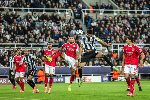Newcastle United takımından William Osula, UEFA Şampiyonlar Ligi Maç Maçı 'nın 3' üncü gününde St.James 's Park, Newcastle, İngiltere, 21 Ekim 2025' de Benfica 'ya karşı kalede ilerliyor. 