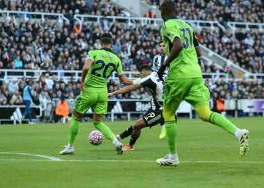 Newcastle United takımından Bruno Guimaraes, 25 Ekim 2025 'te St. James' s Park, Newcastle 'da oynanan Premier League maçında Fulham' a karşı kalede şut çekti. 