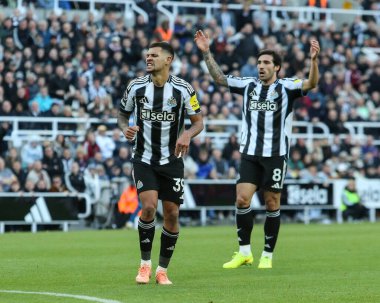 Newcastle United takımından Bruno Guimaraes, 25 Ekim 2025 'te St. James' s Park, Newcastle 'da oynanan Premier League karşılaşmasında kaçırılan şansa tepki gösterdi. 