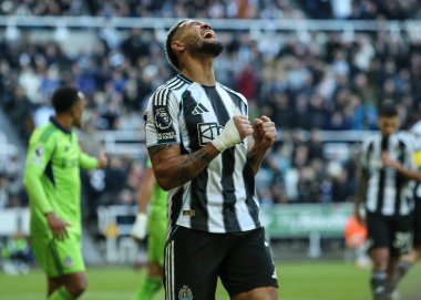 Newcastle United takımından Joelinton, 25 Ekim 2025 'te St. James' s Park, Newcastle 'da oynanan Premier League karşılaşmasında kaçırılan şansa tepki gösterdi.