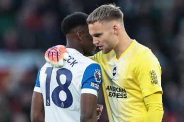 Brighton & Hove Albion kalecisi Bart Verbruggen, Premier Lig karşılaşmasında Brighton & Hove Albion 'dan Danny Welbeck' i kucaklıyor.
