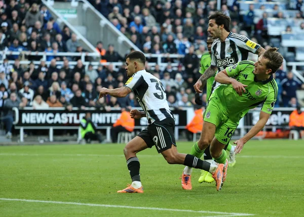 Newcastle United takımından Bruno Guimaraes, 25 Ekim 2025 'te St. James' s Park, Newcastle, İngiltere 'de oynanan Premier League karşılaşmasında 2-1 kazanma hedefini kutluyor. 