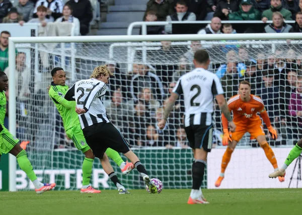 Newcastle United takımından Nick Woltemade, Premier League maçı Newcastle United ile Fulham maçında 25 Ekim 2025 'te St. James' s Park, Newcastle 'da gol attı.