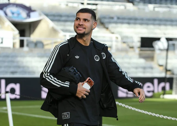 Newcastle United takımından Bruno Guimaraes, 25 Ekim 2025 'te St. James' s Park, Newcastle, Birleşik Krallık 'ta oynanan Premier League karşılaşması öncesinde geldi. 