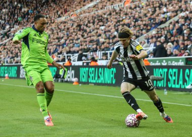 Newcastle United takımından Anthony Gordon, 25 Ekim 2025 'te St. James' s Park, Newcastle, İngiltere 'de oynanan Premier League karşılaşmasında Newcastle United' a karşı Fulham maçına katıldı.