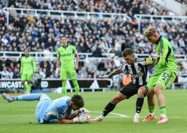 Newcastle United kalecisi Nick Pope, Premier League maçında Newcastle United Fulham 'a karşı St.James' s Park, Newcastle, İngiltere 'de 25 Ekim 2025' de oynandı.