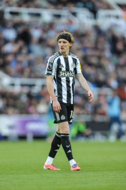 Newcastle United takımından Anthony Gordon, St.James 's Park, Newcastle, İngiltere' de oynanan Newcastle United maçında, 25 Ekim 2025