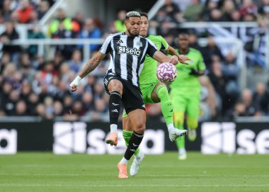 Newcastle United takımından Joelinton, 25 Ekim 2025 'te St. James' s Park, Newcastle 'da oynanan Premier League maçında Newcastle United' a karşı Fulham maçına katıldı.