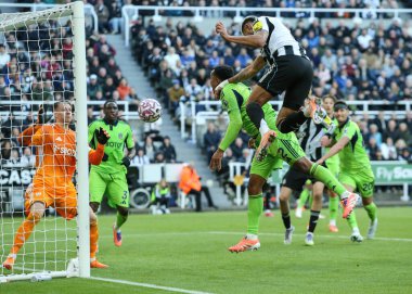 Newcastle United takımından Joelinton, 25 Ekim 2025 'te St. James' s Park, Newcastle, İngiltere 'de oynanan Premier League maçı Newcastle United ile Fulham maçında kaleye doğru ilerliyor.