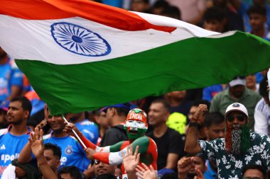 Hint taraftarlar, ICC Kadınlar ODI Dünya Kupası 2025 Dünya Kupası finalinde, Dr. D.Y. 'de Hindistan Kadınlar Güney Afrikalı Kadınlara Karşı' yı alkışlıyorlar. Patil Spor Akademisi, Navi Mumbai, Hindistan, 2 Kasım 202