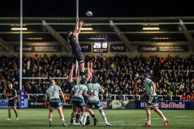 Newcastle Red Bull 'dan Freddie Lockwood Premiership Rugby Kupası' nda Newcastle Red Bulls, Leicester Tigers 'a karşı Kingston Park, Newcastle, İngiltere' de 31 Ekim 2025 'de oynanan karşılaşmada yüksek topu kazandı.