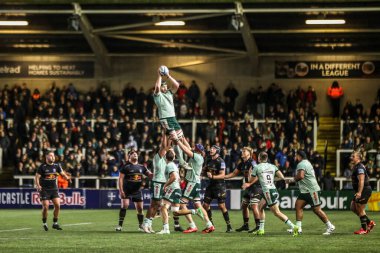 Leicester Tigers 'dan Harry Wells Premiership Rugby Kupası' nda Newcastle Red Bulls, Leicester Tigers 'a karşı Kingston Park, Newcastle, İngiltere' de 31 Ekim 202 'de oynanan karşılaşmada yüksek topu kazandı.