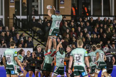 Leicester Tigers 'dan Tom Manz Premiership Rugby Kupası' nda Newcastle Red Bulls, Leicester Tigers 'a karşı Kingston Park, Newcastle, Birleşik Krallık' ta 31 Ekim 202 'de oynanan karşılaşmada yüksek topu kazanmak için sıçradı.