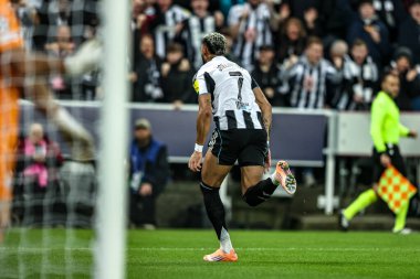 Newcastle United takımından Joelinton, 5 Kasım 2025 'te St. James' s Park, Newcastle 'da oynanan 8 Newcastle United-Atletizm Kulübü maçında 2-0' lık galibiyet golünü kutluyor. 