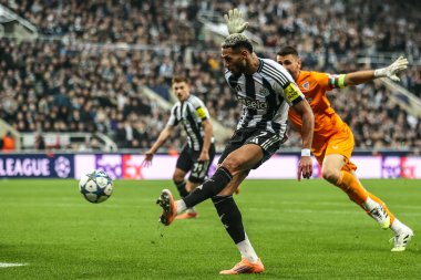 Newcastle United takımından Joelinton, 5 Kasım 2025 'te St.James' s Park, Newcastle, İngiltere 'de oynanan 8 Newcastle United' ın 4 'üncü maçında gol attı. 