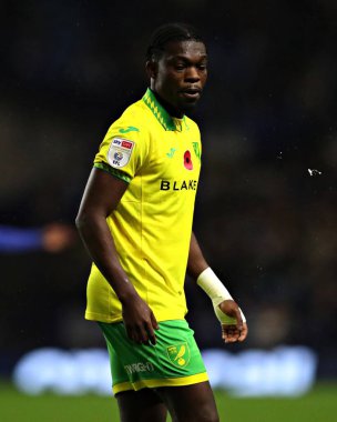 Norwich City 'den Forson Amankwah Gök İddia Şampiyonası maçında Sheffield Wednesday - Norwich City, Hillsborough, Sheffield, Birleşik Krallık' ta 5 Kasım 2025 