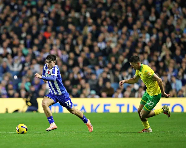 Sheffield 'li Harry Amass Çarşamba günü Sheffield Çarşamba günü Norwich City' ye karşı 5 Kasım 2025 'te Hillsborough, Sheffield, Birleşik Krallık' ta oynanan Gökyüzü İddia Şampiyonası maçında. 