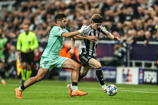Athletic Club 'dan Jess Areso ve Newcastle United takımından Anthony Gordon, 5 Kasım 2025' te St. James 's Park, Newcastle' da oynanan 8 Newcastle United-Atletizm Kulübü karşılaşmasının 4 'üncü gününde top için mücadele ediyorlar. 