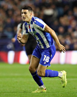 Sheffield 'den Bailey Cadamarteri Çarşamba günü Sheffield Çarşamba günü Norwich City' e karşı, 5 Kasım 2025 'te, Hillsborough, Sheffield, İngiltere' de oynanan maçta. 