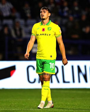 Norwich City 'den Matej Jurasek Gök İddia Şampiyonası' nda Sheffield Wednesday, Norwich City 'ye karşı 5 Kasım 2025' te Hillsborough, Sheffield, İngiltere 