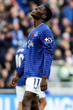 Everton 'dan Thierno Barry, 8 Kasım 2025' te Liverpool 'daki Hill Dickinson Stadyumu' nda oynanan Premier League maçında ofsayt olarak hükmedildiği için üzgündü. 