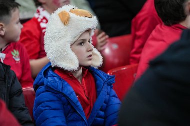 Galli taraftarlar Quilter Nations Serisi 2025 'te Principality Stadyumu, Cardiff, Birleşik Krallık' ta Galler 'e karşı Japonya maçında, 15 Kasım 2025 