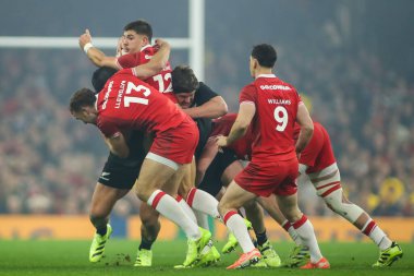 Galler 'den Joe Hawkins, 22 Kasım 2025 tarihinde İngiltere' nin Cardiff kentindeki Principality Stadyumu 'nda oynanan Galler - Yeni Zelanda maçı sırasında soyuldu.