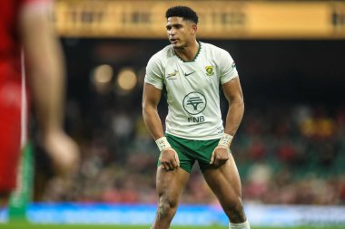 Quilter Nations 2025 Serisi sırasında Güney Afrikalı Sacha Feinberg-Mngomezulu Principality Stadyumu 'nda Galler - Güney Afrika maçı, 29 Kasım 2025 