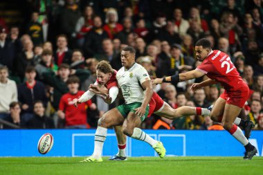 Galler 'den Ellis Mee ve Güney Afrika' dan Damian Willemse, 29 Kasım 2025 'te Principality Stadyumu, Cardiff, Birleşik Krallık' ta oynanan Galler - Güney Afrika maçı sırasında top için yarışıyor. 