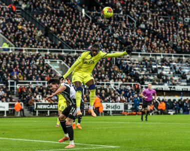 Tottenham Hotspur 'dan Randal Kolo Muani, Premier League maçı Newcastle United' ın Tottenham Hotspur 'a karşı oynadığı 2 Aralık 2025' te St.James 's Park, Newcastle, İngiltere' de oynanan karşılaşmada yüksek topu almak için öne atlıyor. 