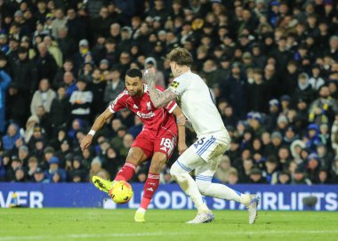 Liverpool 'dan Cody Gakpo, 6 Aralık 2025' te Leeds United 'ın Liverpool' a karşı oynadığı Premier League maçında kalede şut çekti. 