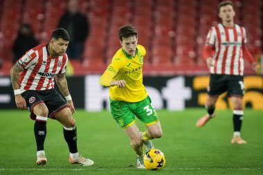 Norwich City 'den Kellen Fisher, Sheffield United takımının oyuncusu Gustavo Hamer' ın 9 Aralık 2025 'te Bramall Lane, Sheffield, İngiltere' de oynanan Norwich City maçında Sheffield United 'ın Norwich City' e karşı oynadığı maçta top ile koşuyor. 