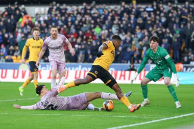 Birleşik Krallık 'ın Wolverhampton kentinde oynanan üçüncü turda Wolverhampton Wanderers, Shrewsbury Town maçında kutuda katliam yaşandı.