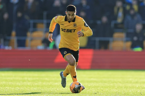 Wolverhampton Wanderers takımından Joao Gomes, 10 Ocak 2026 tarihinde Birleşik Krallık 'ın Molineux kentinde oynanan, Wolverhampton' daki Wolverhampton Wanderers - Shrewsbury Town maçında üçüncü tur karşılaşmasında topla birlikte.