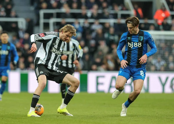 Newcastle United takımından Nick Woltemade, 10 Ocak 2026 'da İngiltere' nin Newcastle kentinde oynanan üçüncü tur müsabaka Newcastle United ve Bournemouth karşılaşmasında topa dönüyor.